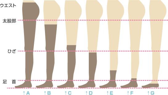 図：種別の呼び方